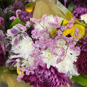 Meet your Posher, Maritza